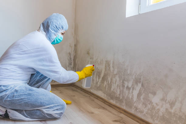 Crawl Space Mold Remediation treatment of floor joists in Triangle