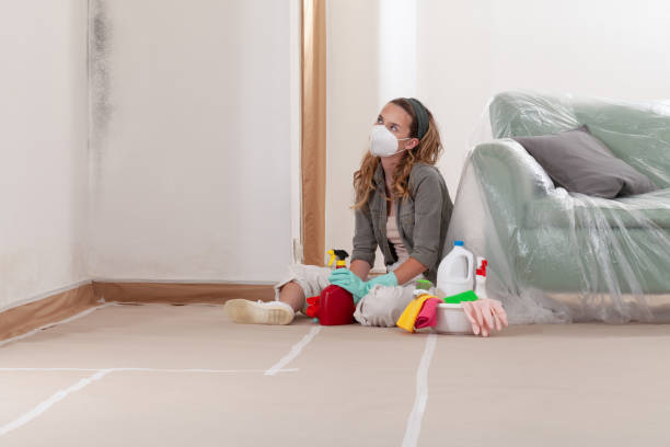 Mold Removal service in Triangle
