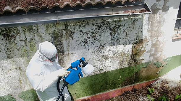 Mold Remediation service in Triangle, Triangle, VA